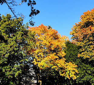 Die Schillerwiese in Herbststimmung 