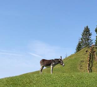 Wandern Seiser Alm