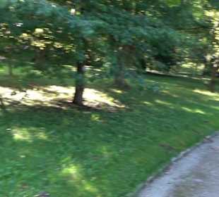 Botanischer Garten München