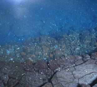 Unterirdischer See mit blinden Albino-Krebsen 