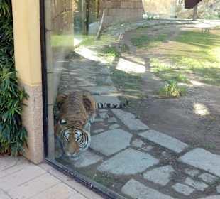 ZOO José Cruz Conde