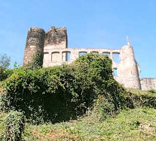 Burgruine Metternich