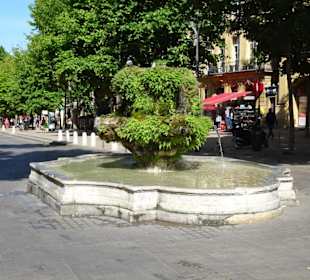 Rundgang über den Cours Mirabeau
