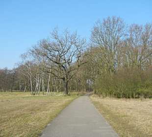 Wunderschöne Boberger Niederung