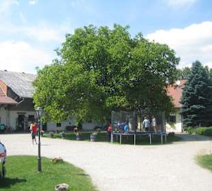 Bumbaurhof
