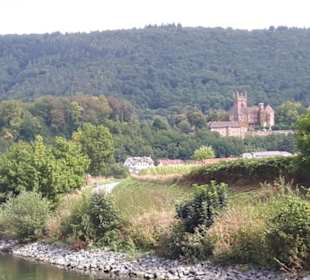 Weisse Flotte Heidelberg 