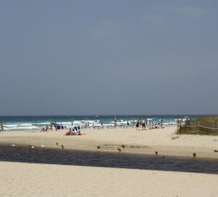 Strand von Son Bou