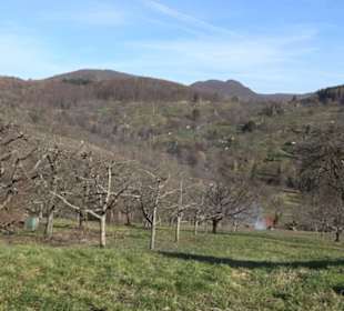 Wanderung Florianrunde