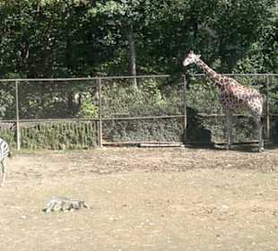 Zoo Brno