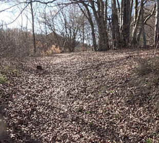 Naturerlebnispfad Meidelstetten