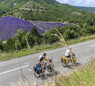 Wandern Château-Arnoux-Saint-Auban