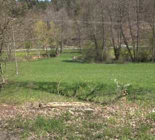 Waldkulturerbe Neuweiler Viehweide