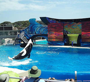 Seaworld San Diego