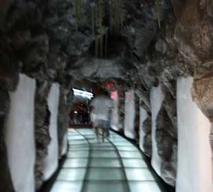 Durchgang zu den Arktischen Pinguinen