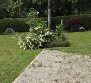 Friedhof Dußlingen