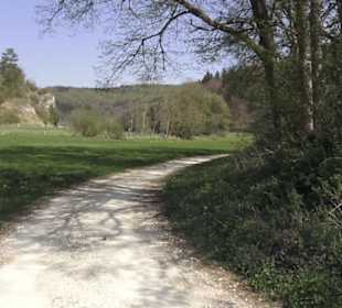 Waldlehrpfad an der Lauter