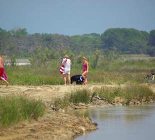Strand von Bibione 06-2010