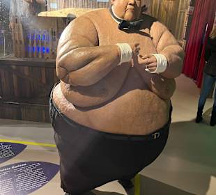 Museum Ripley's Believe It or Not!