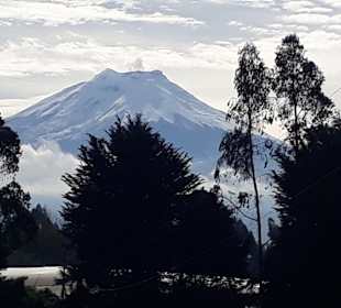 Cotopaxi