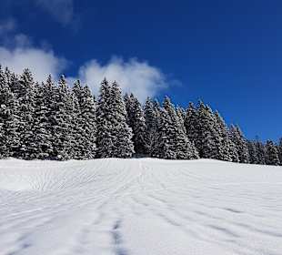 Sport & Freizeit