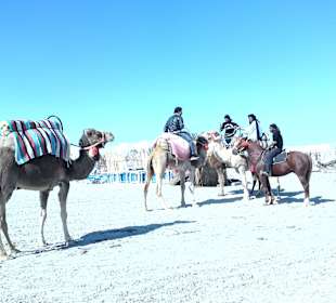 Reiten am Strand