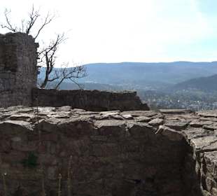 Altes Schloss Hohenbaden