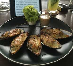 New Zeeland mussels