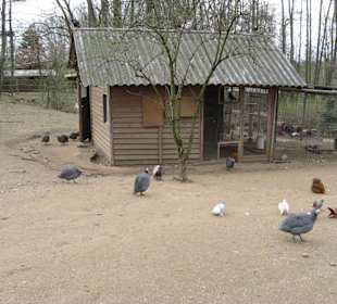 Tierpark an der Brückenkopf-Bastion