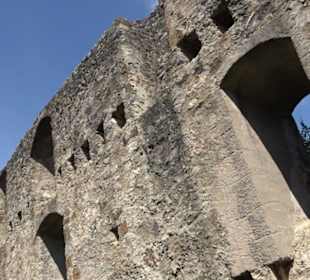 Burgruine Niederhaus