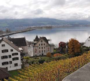 Виды города