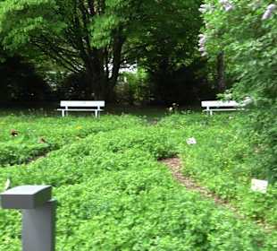 Kurpark