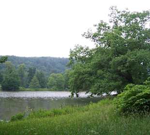 Blick auf den Parksee