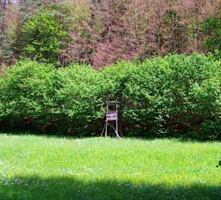 Wanderung zum Bärenfels