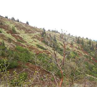 Karkonoski Park Narodowy