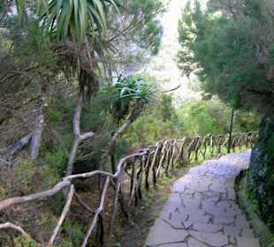 Weg zum Aussichtspunkt Eira de Serrado