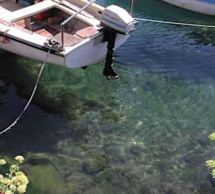 Klares, sauberes Wasser