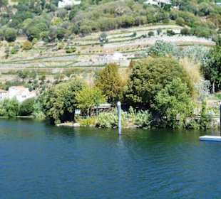 Douro Flussreisen