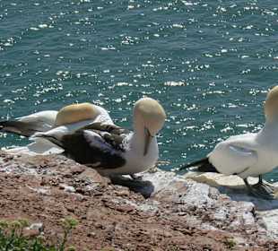 Tolle Aussicht beim Sonnenbaden!