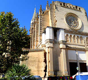 Markt Tag in Manacor