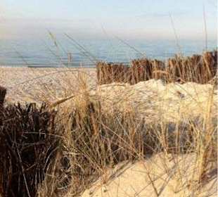 Durch die Dünen zum Strand