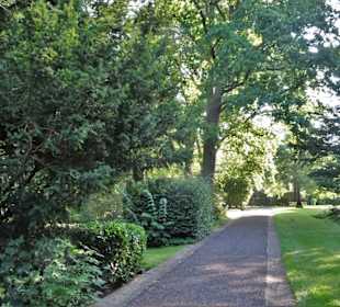 Rundgang über den Mühlenfriedhof