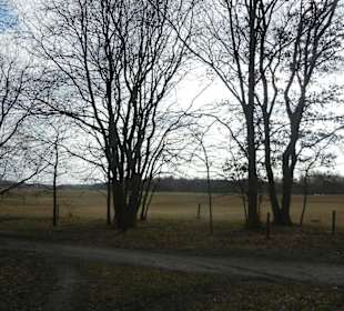 Naturschutzgebiet Boberger Niederung