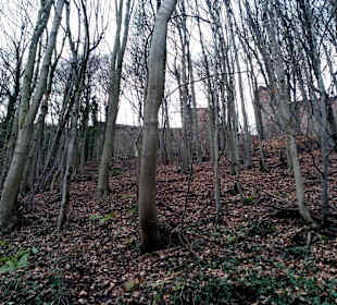 Annweiler Burgenweg in Annweiler am Trifels