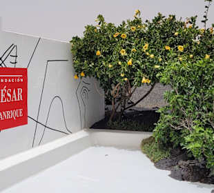 Fundacion Cesar Manrique