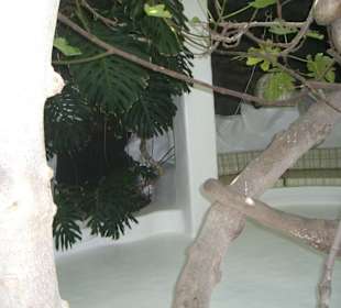 Sitzecke im Wohnraum