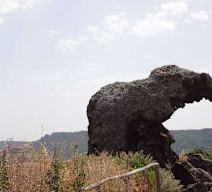 Sieht doch wirklich aus wie ein Elefant