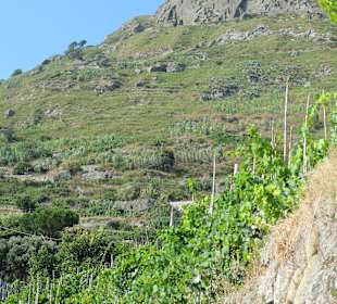 Blick auf den Epomeo, den Vulkan-Berg der Insel.
