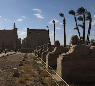 Allee Karnak Tempel zum Luxor Tempel