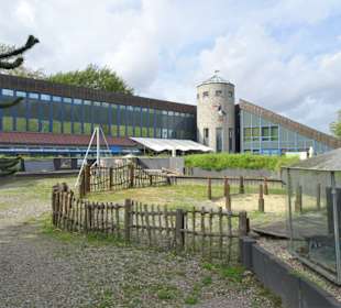 In der Urzeit-Ausstellung des Natureums