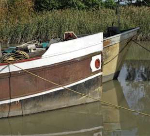 Impressionen vom Traditionshafen Wischhafen